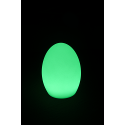 RGBW LED Tafel lamp - Ei model