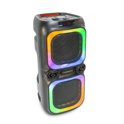 PARTY BOX 2x 8” - 600W met LED effect, Bluetooth, USB, micro