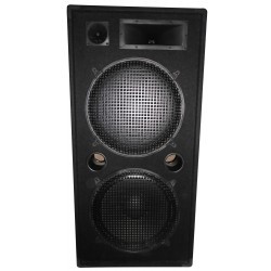 3-weg Disco column speakers
